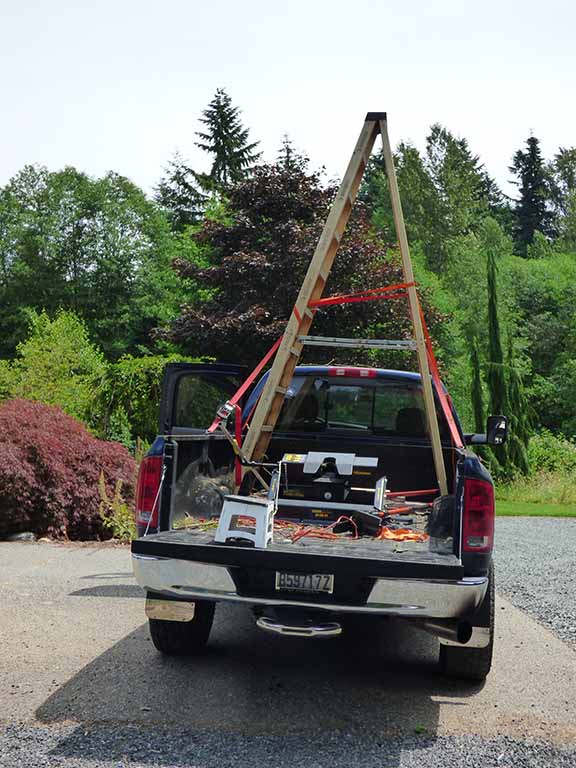 Tree Trimming